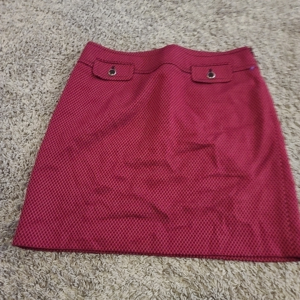 ANNE Taylor Loft skirt size 10